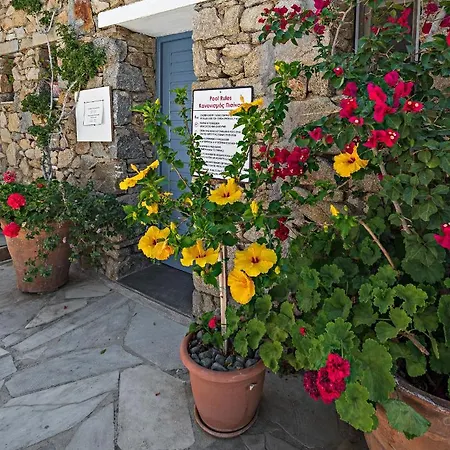 Villa Casa Cozy Mykonos Town