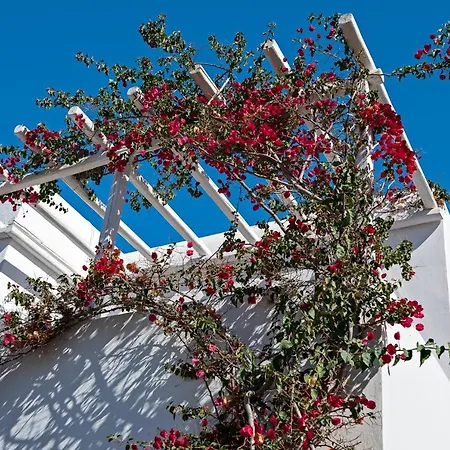 Casa Cozy 빌라 Mykonos Town