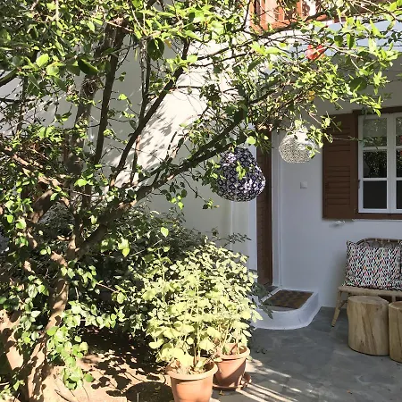 Casa Cozy *