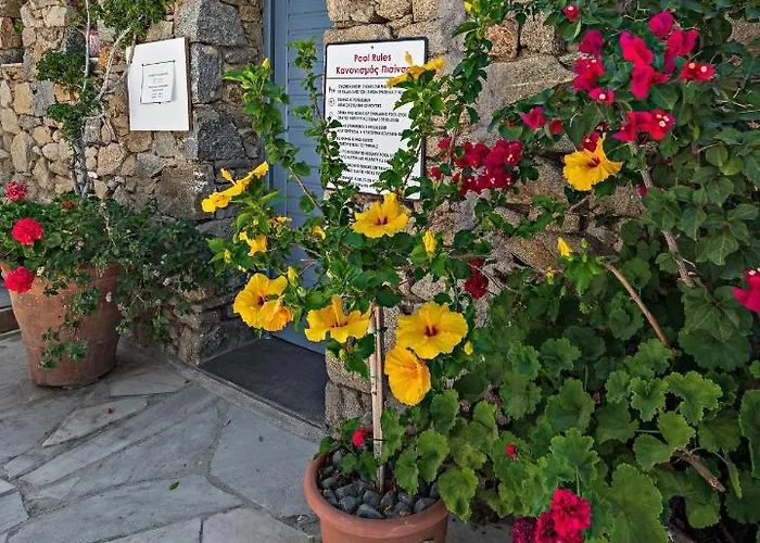 빌라 Casa Cozy Mykonos Town