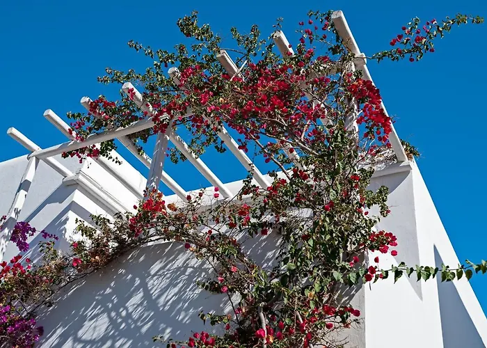 Casa Cozy 빌라 Mykonos Town